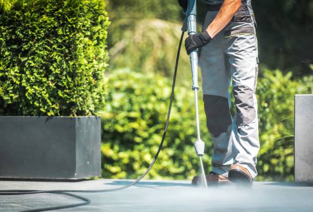 Best Fence Cleaning  in Holstein, IA